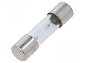 Fuse: fuse | glass | 10A | 250VAC | time-lag | 5x20mm | TSC | brass | bulk