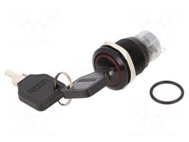 Switch: key switch | Stabl.pos: 2 | ON-ON | SPDT | Ø19mm | Key: flat | 90°
