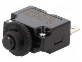 Fuse: thermal | 10A | Imax: 1kA | 125V,250V | 32VDC,50VDC