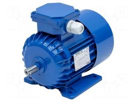 Motor: AC | 3-phase | 0.37kW | 230/400VAC | 2840rpm | IP54 | -30÷60°C