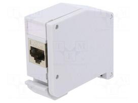 Coupler | Cat 6a | Keystone | RJ45 socket x2 | grey | Rail: TS35