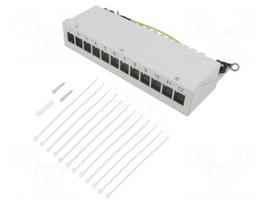 Enclosure for connectors: RJ45 | socket | Keystone | grey | female