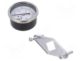 Manometer | 0÷6bar | rear connection | Thread: G 1/8" | 50mm | steel