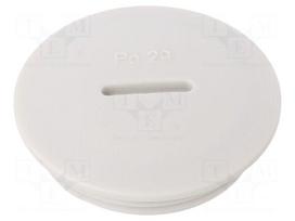 Stopper | PG29 | IP56 | polyamide | light grey | Thread: PG | 8mm