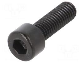 Screw | 1.25 | Head: cheese head | hex key | HEX 6mm | steel | DIN 912