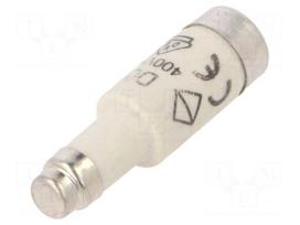 Fuse: fuse | 2A | 400VAC | 250VDC | gG,time-lag | D01