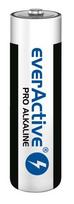 Alkaline batteries everActive Pro Alkaline LR6 AA - shrink pack - 10 pieces