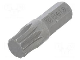 Screwdriver bit | spline (12-angles) | XZN M8 | 1/4"