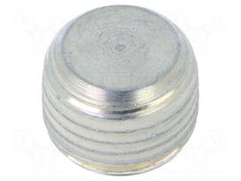 Hexagon head screw plug | without micro encapsulation | steel