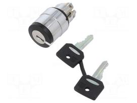 Switch: rotary with key | 22mm | Stabl.pos: 2 | black | none | IP66