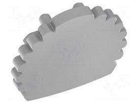 Cap for LED profiles | silver | 10pcs.