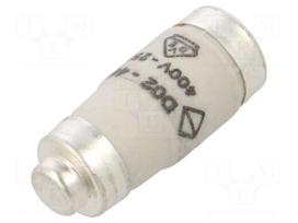 Fuse: fuse | 40A | 400VAC | 250VDC | gG,time-lag | D02