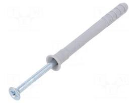 Plastic anchor | with screw | 8x80 | zinc-plated steel | N | 100pcs.