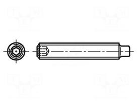 Screw | M6x8 | 1 | Head: without head | hex key | HEX 3mm | steel | DIN 915