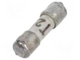Fuse: fuse | ceramic,cylindrical | 2.5A | 125VAC | 125VDC | time-lag