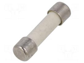 Fuse: fuse | ceramic,cylindrical | 10A | 250VAC | ultra rapid | 5x20mm