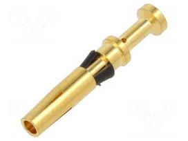 Connector: circular | contact | female | industrial | 60V | IP69K | 10A