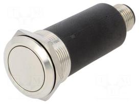 Switch: vandal resistant | Pos: 2 | SPDT | 82 | 0.6A/35VAC | 600mA/35VDC