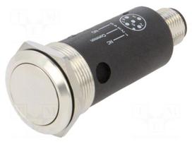 Switch: vandal resistant | Pos: 2 | SPDT | 82 | 0.6A/35VAC | 600mA/35VDC