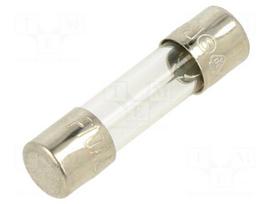 Fuse: fuse | glass | 10A | 250VAC | quick blow | 5x20mm | brass | bulk