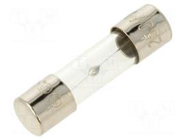 Fuse: fuse | glass | 10A | 250VAC | medium time-lag | 5x20mm | brass | bulk