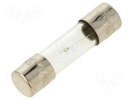 Fuse: fuse | glass | 2.5A | 250VAC | medium time-lag | 5x20mm | brass