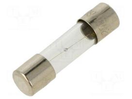 Fuse: fuse | glass | 600mA | 250VAC | medium time-lag | 5x20mm | brass