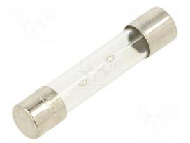 Fuse: fuse | glass | 10A | 250VAC | time-lag | 6.3x32mm | TSA | brass