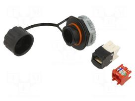 Connector: RJ45 | socket | data transfer | PIN: 8 | Cat 5e | unshielded