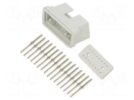 Diagnostic connector OBD II | Body: light grey | male