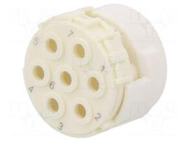 Connector: M23 | contact insert | PIN: 7 | male | for cable