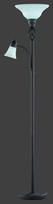 Trio Rustica stāvlampa uplighter E27 + E14 rustic  4602021-24 4017807196801