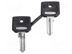Key | 22mm | Harmony XB4 | 2pcs.