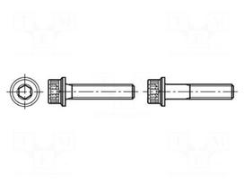 Screw | with flange | M6x20 | 1 | Head: knurled,cheese head | hex key