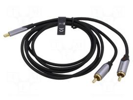 Cable | RCA plug x2,USB C plug | gold-plated | 0.5m | black | Cu | 29AWG