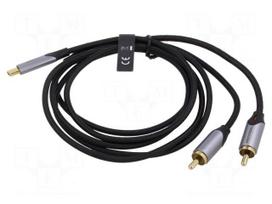 Cable | RCA plug x2,USB C plug | gold-plated | 1.5m | black | Cu | 29AWG