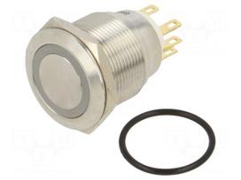 Switch: vandal resistant | Pos: 2 | SPDT | 3A/220VAC | 5A/24VDC | IP65