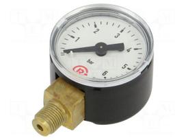 Manometer | 0÷6bar | bottom connection | Thread: G 1/8" | 40mm | metal