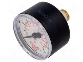 Manometer | 0÷10bar | rear connection | Thread: G 1/4" | 50mm | plastic