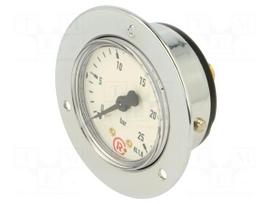 Manometer | 0÷25bar | rear connection | Thread: G 1/4" | 50mm | metal