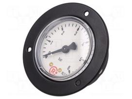 Manometer | 0÷6bar | rear connection | Thread: G 1/4" | 50mm | metal