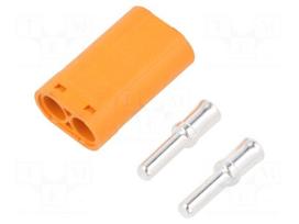Connector: DC supply | plug | male | LC | 30A | 1kV | PIN: 2 | straight