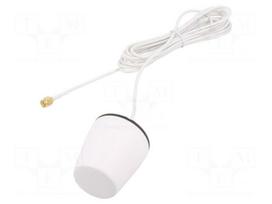 Antenna | 2G,3G,4G,5G,GSM,LTE | 0.5dBi,1dBi,2.1dBi,2.9dBi | 3m