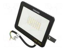 Lamp: LED flood light | 30W | 230VAC | white cold | 120° | 6500K | IP65