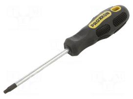 Screwdriver: standard | Torx® with protection | T25H