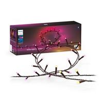 Philips Hue Hue Festavia virtene 250LEDs EU 929003674402 8720169246621