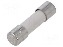 Fuse: fuse | ceramic,cylindrical | 10A | 250VAC | time-lag | brass