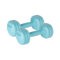 Sporto ir aktyvaus poilsio // Sporto prekės ir įranga // Hantelki bitumiczne 2x2kg, REBEL ACTIVE