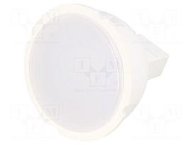LED lamp | MR16 | white cold | 12VDC | 540lm | 6W | 120° | 6500K