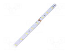 LED tape | white cold | Case (mm): 2835 | LED/m: 60 | 8mm | IP64 | 120°